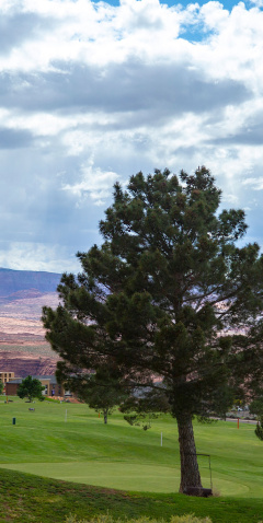 Courtyard by Marriott Page at Lake Powell