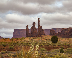 Yucca and the Monument