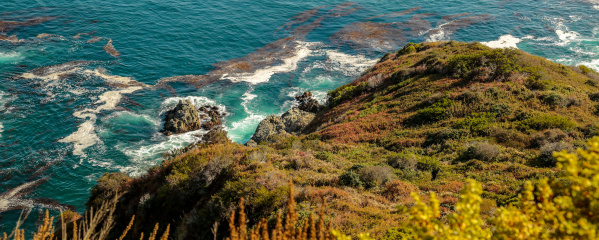 Gorgeous Waves